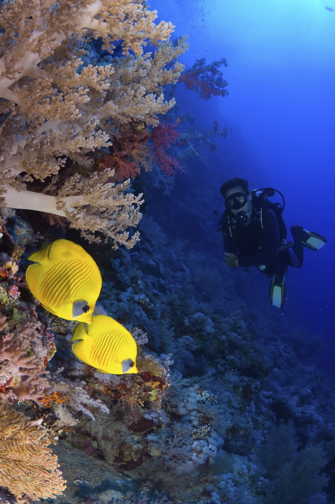 Discover Scuba Diving