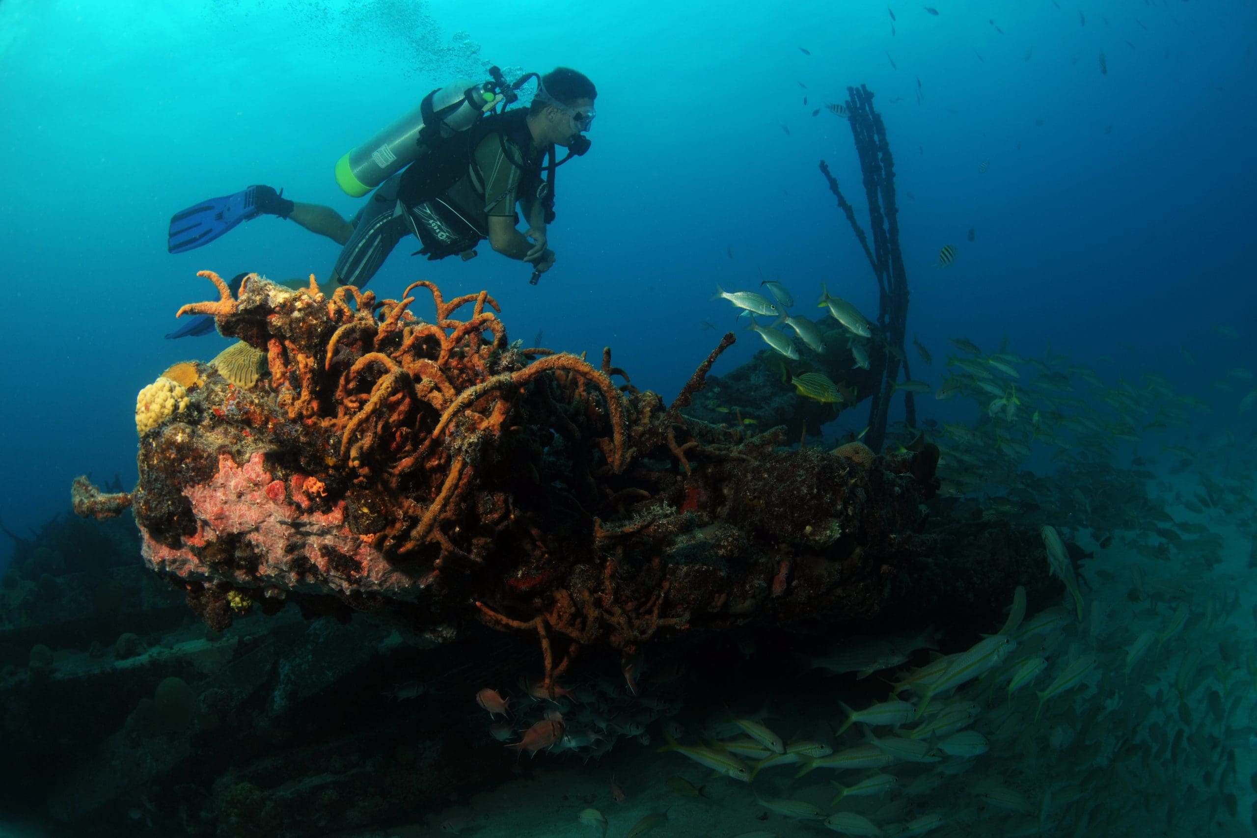Scuba Dive Discount Packages
