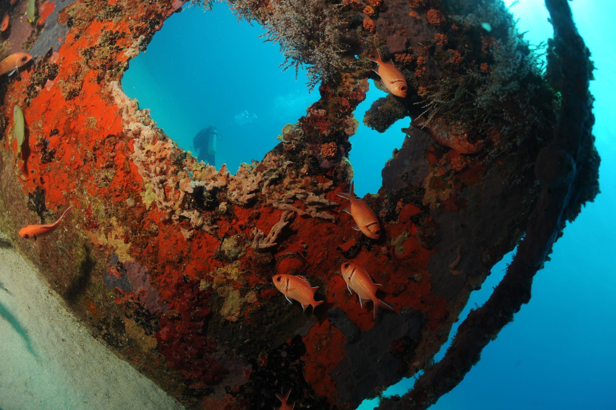 Double Tank Dive — Certified Divers
